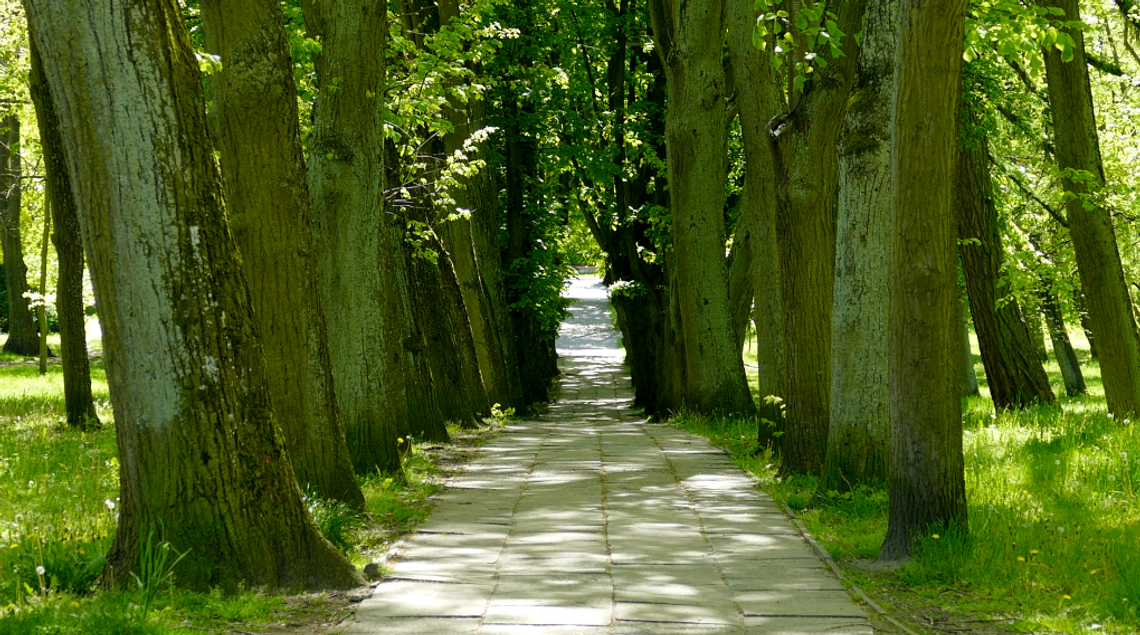 Kaszubski Park w Wejherowie (2020 rok)