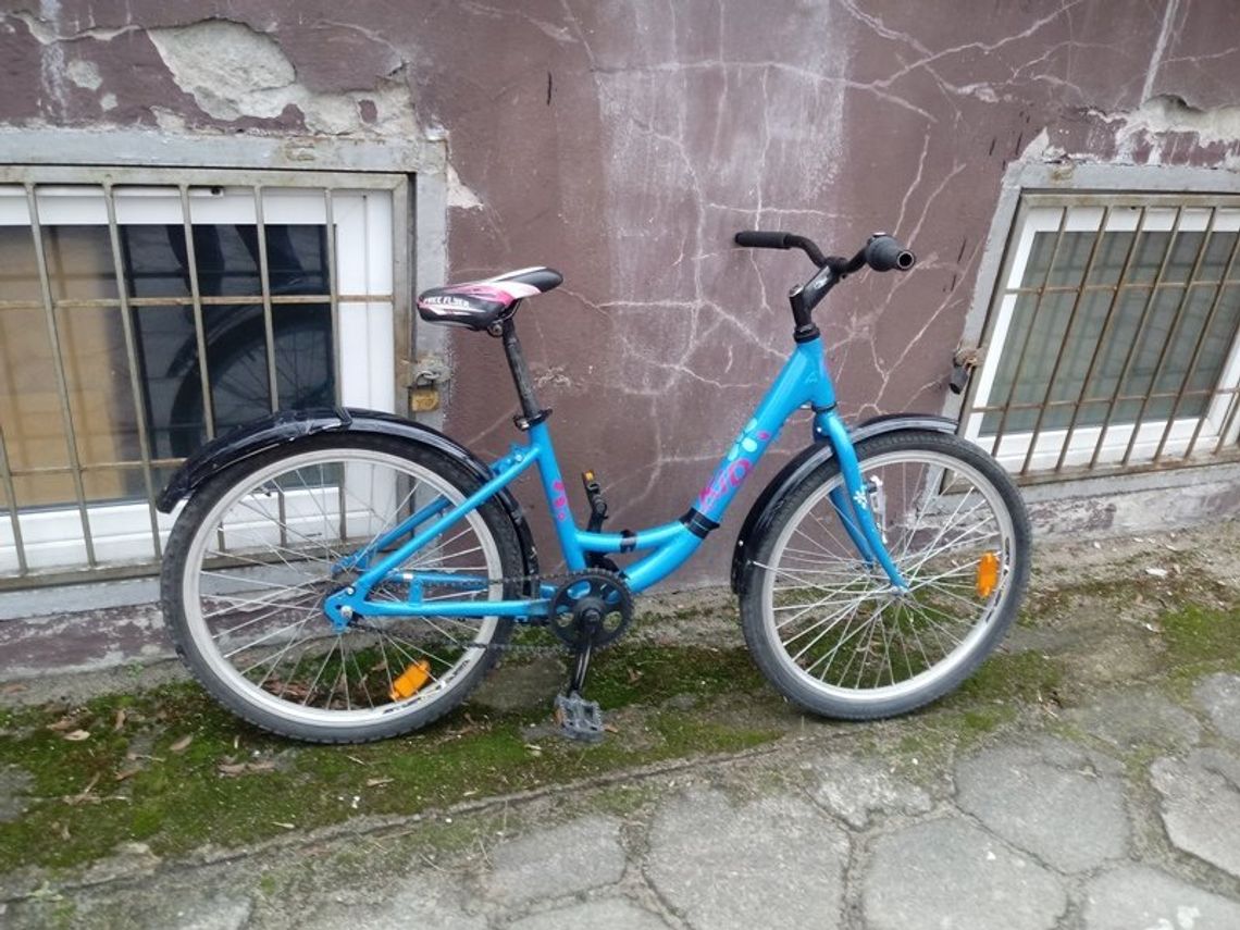 Kogo rower i...pies? Straż miejska szuka właścicieli Kogo rower i...pies? Straż miejska szuka właścicieli