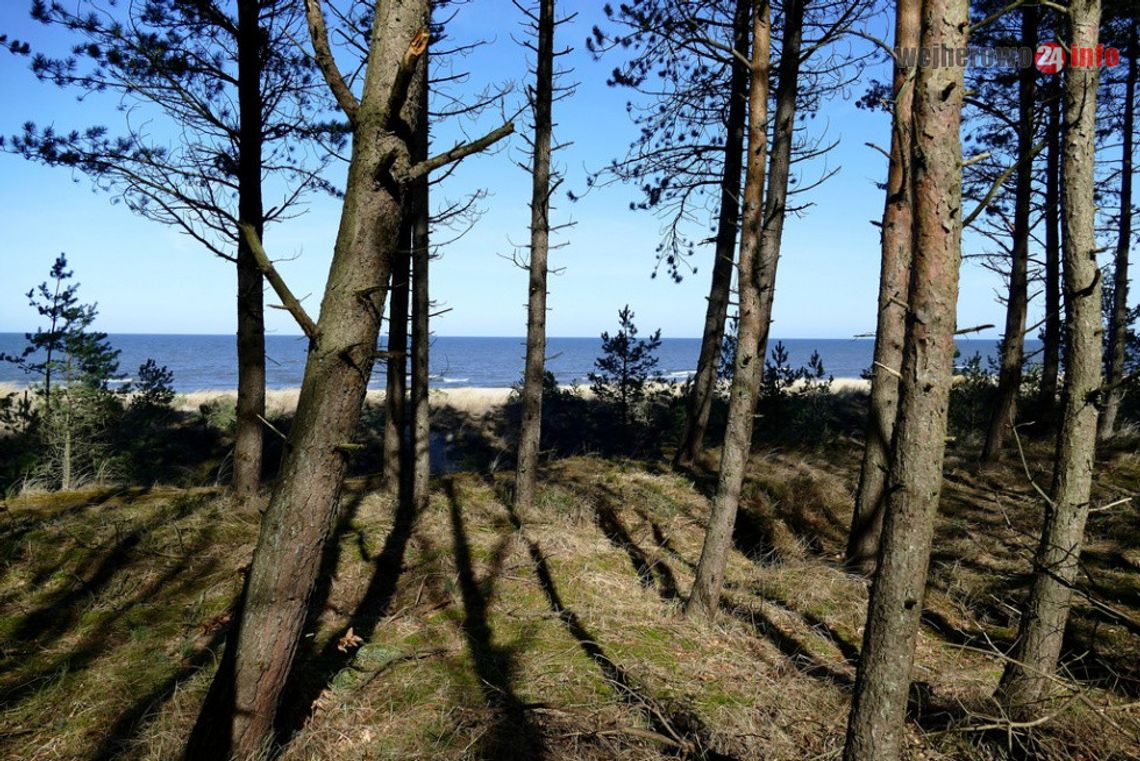 Koronawirus. Lasy, plaże, parki, place zabaw niedostępne 