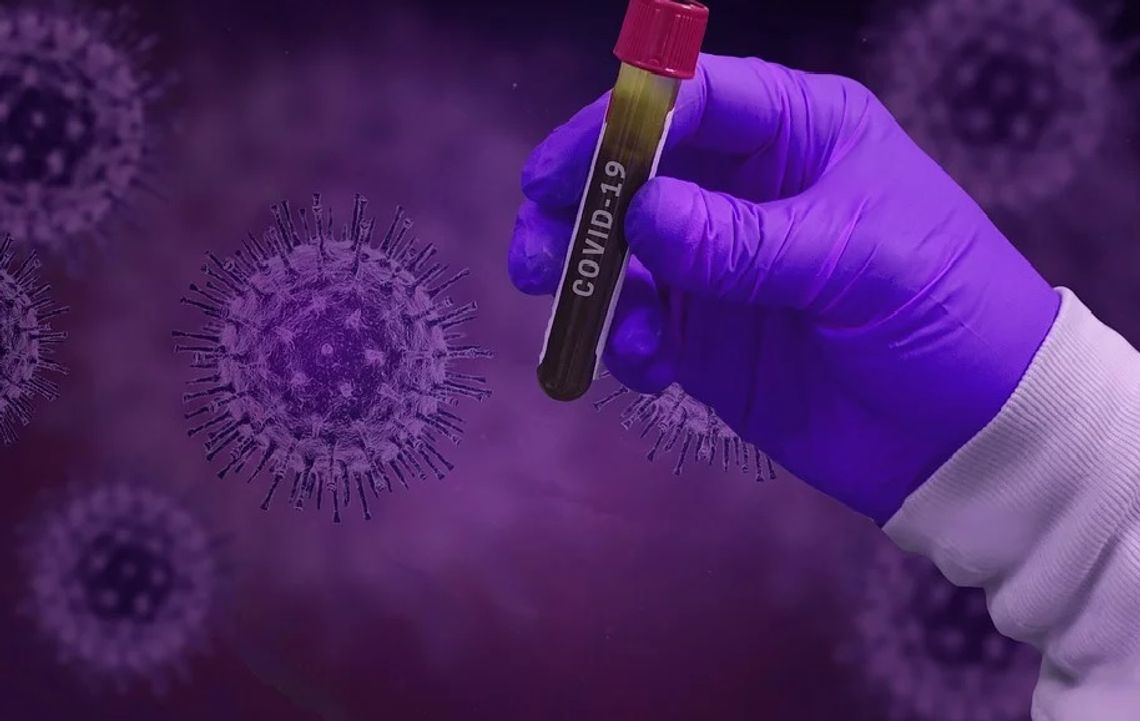 Koronawirus. W powiecie wejherowskim 8 potwierdzonych przypadków zakażenia