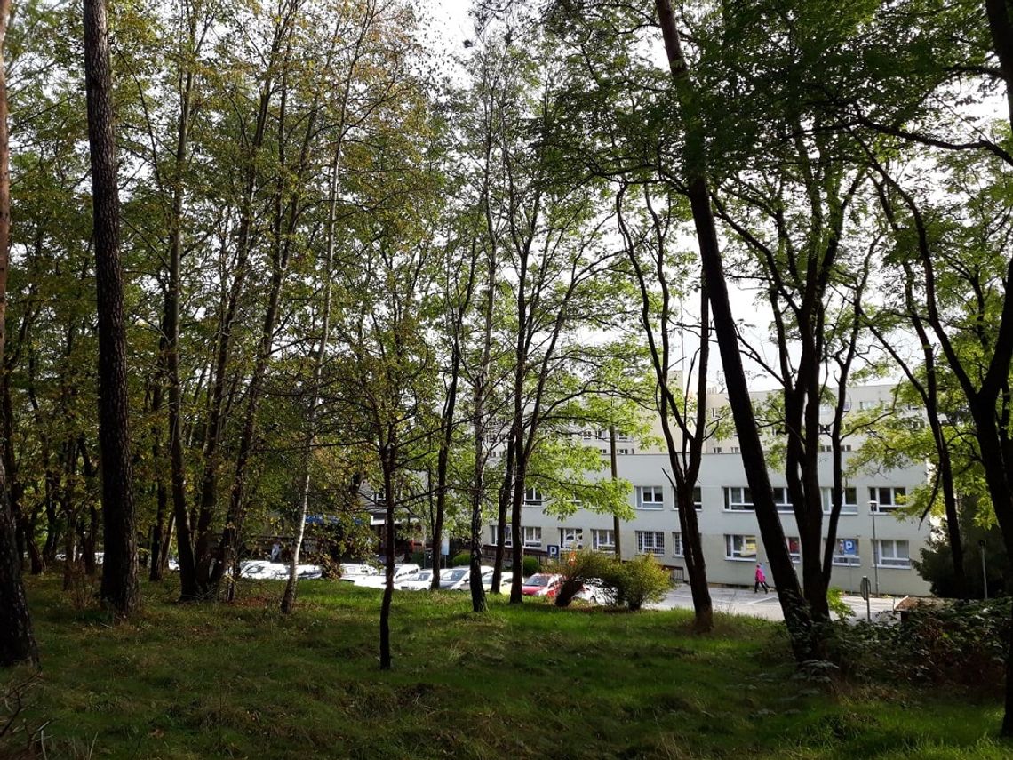 koronawirus. Wejherowski szpital otrzymał urządzenie do diagnostyki zakażeń