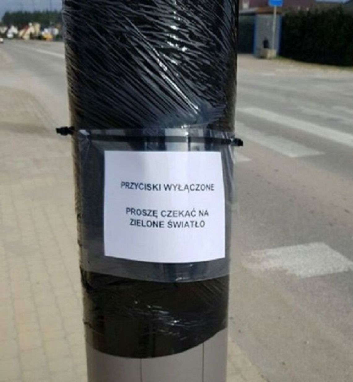Koronawirus. Wyłączone przyciski przy przejściach dla pieszych Koronawirus. Wyłączone przyciski przy przejściach dla pieszych