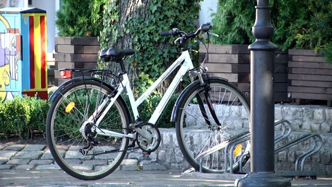 "Kręci mnie bezpieczeństwo". Rozpoczyna się ogólnopolska akcja policji.