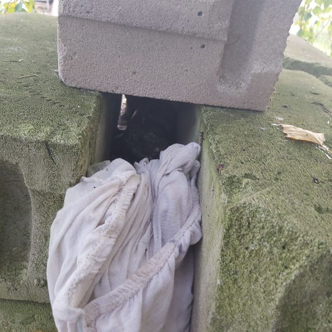 Miał kilogram amfetaminy.  Zakazane środki pomiędzy pustakami...