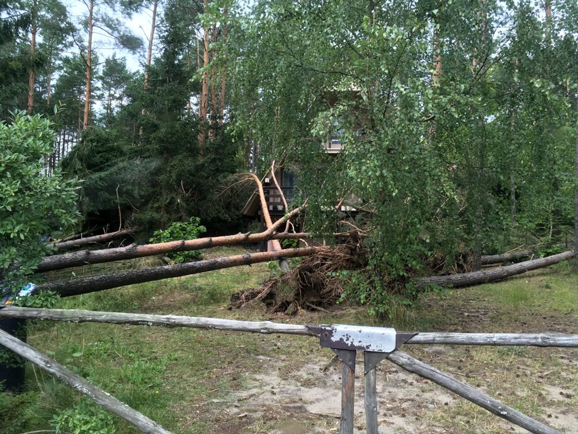 Nawałnica na Kaszubach. Najgorzej w powiecie kościerskim i okolicach Chojnic... 