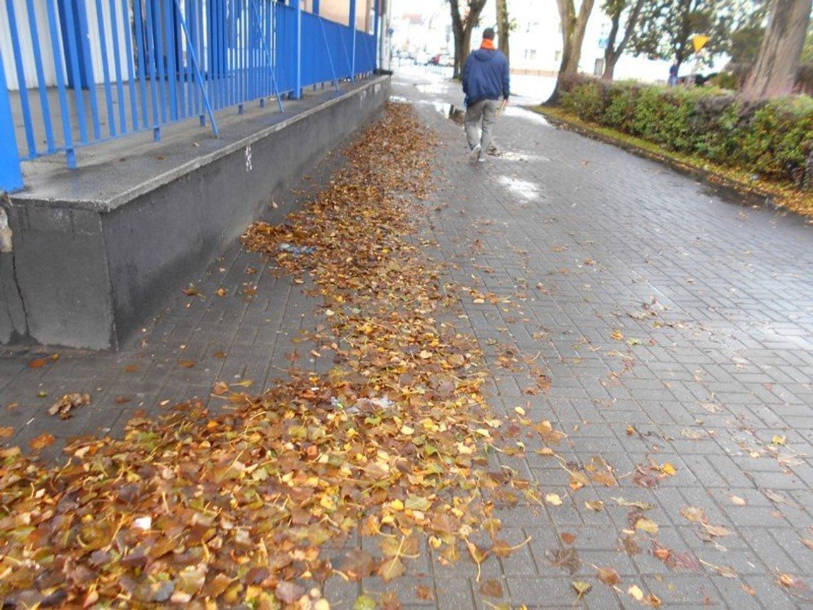 Nie zapominaj o chodnikach. Posprzątaj spadające liście.