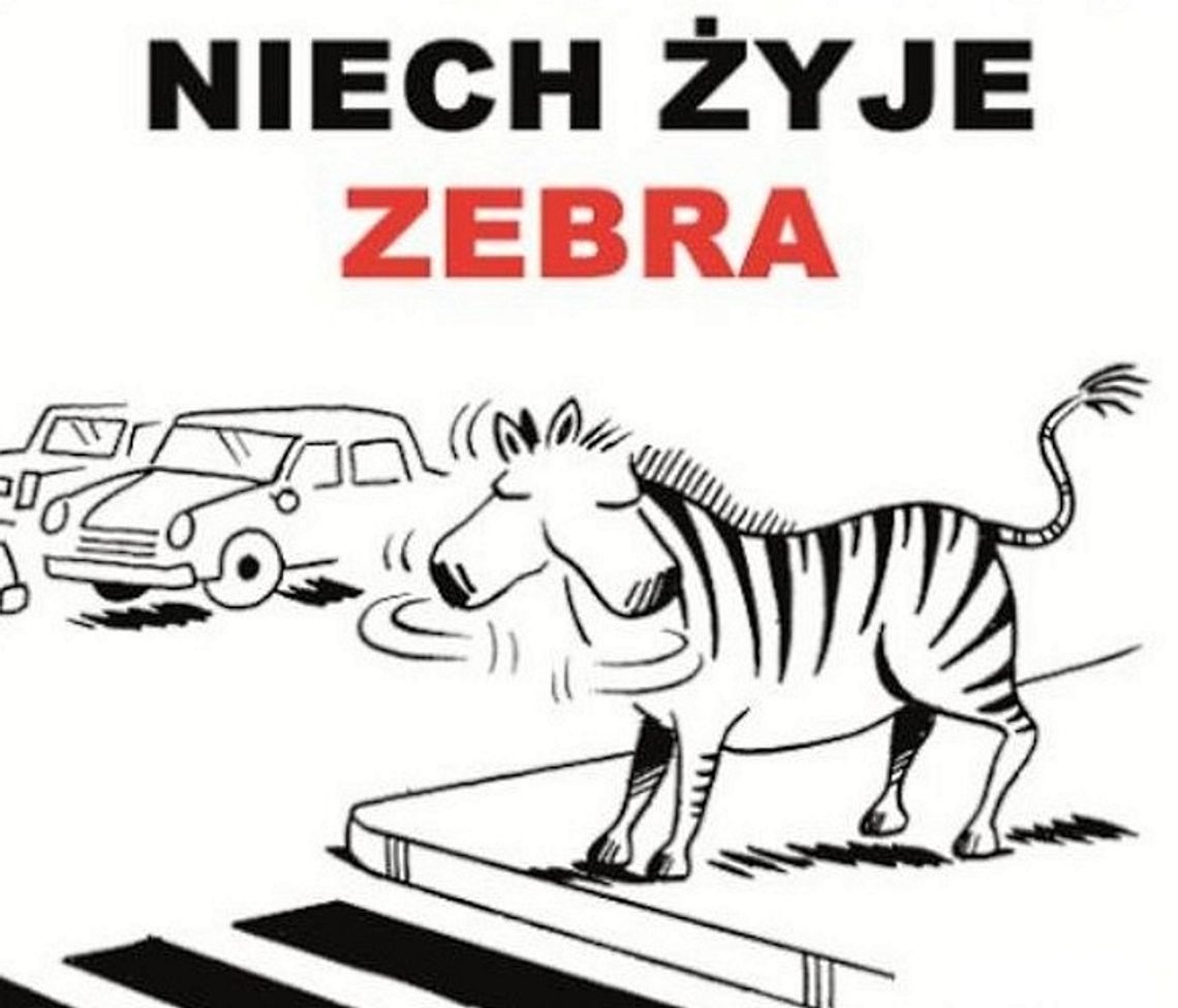 Niech żyje zebra. Bezpieczne przejście.