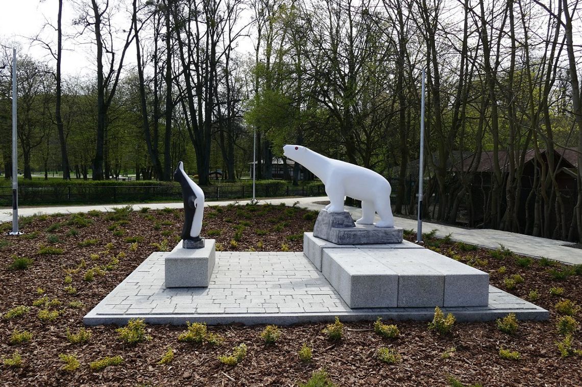 Niedźwiedzie i pingwiny wracają... Sentymentalny akcent w parku