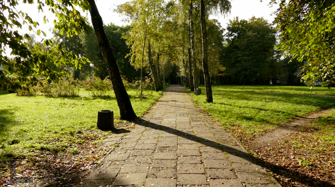 Park Kaszubski zamknięty. Rozpoczyna się jego modernizacja
