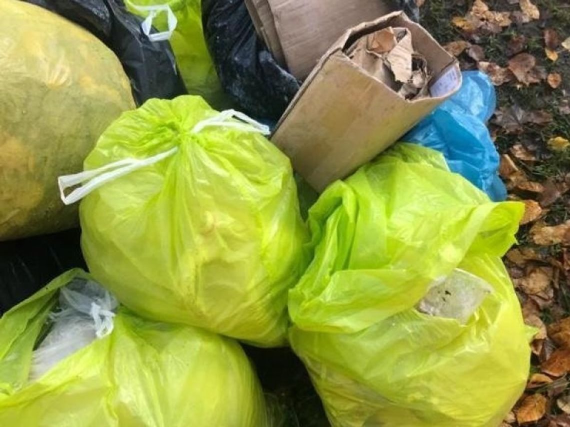 Podrzucają śmieci. Zostawili dane osobowe