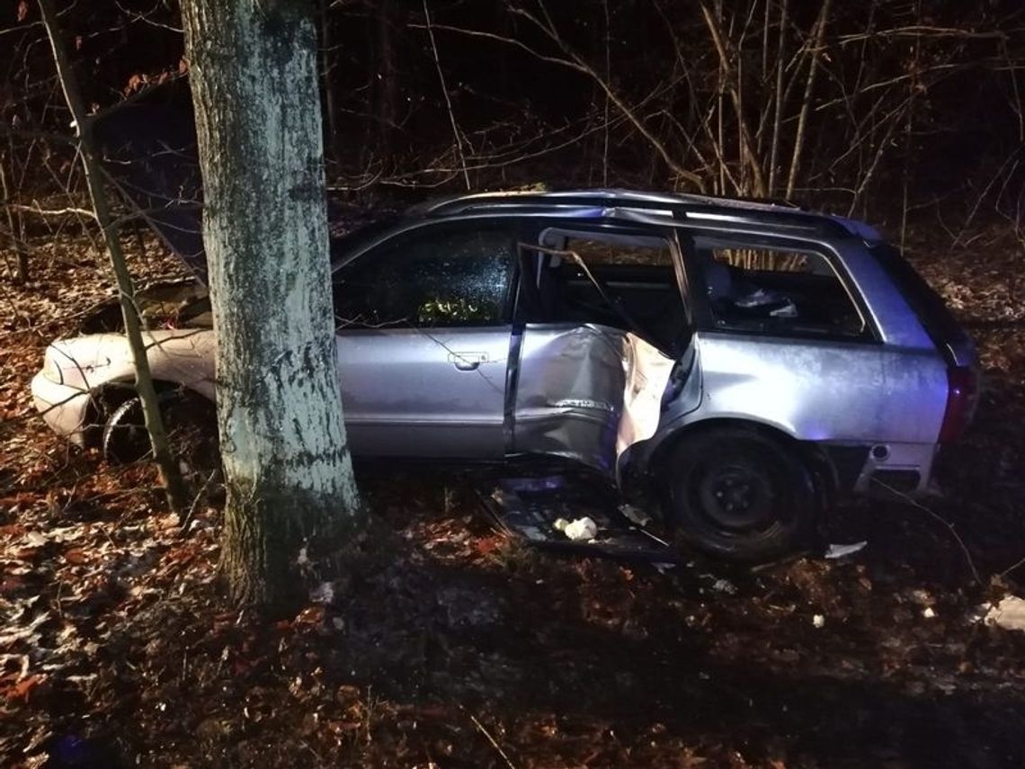 Policjanci wyjaśniają okoliczności wypadku w Gościcinie. Kierowca audi uderzył w drzewo Policjanci wyjaśniają okoliczności wypadku w Gościcinie. Kierowca audi uderzył w drzewo
