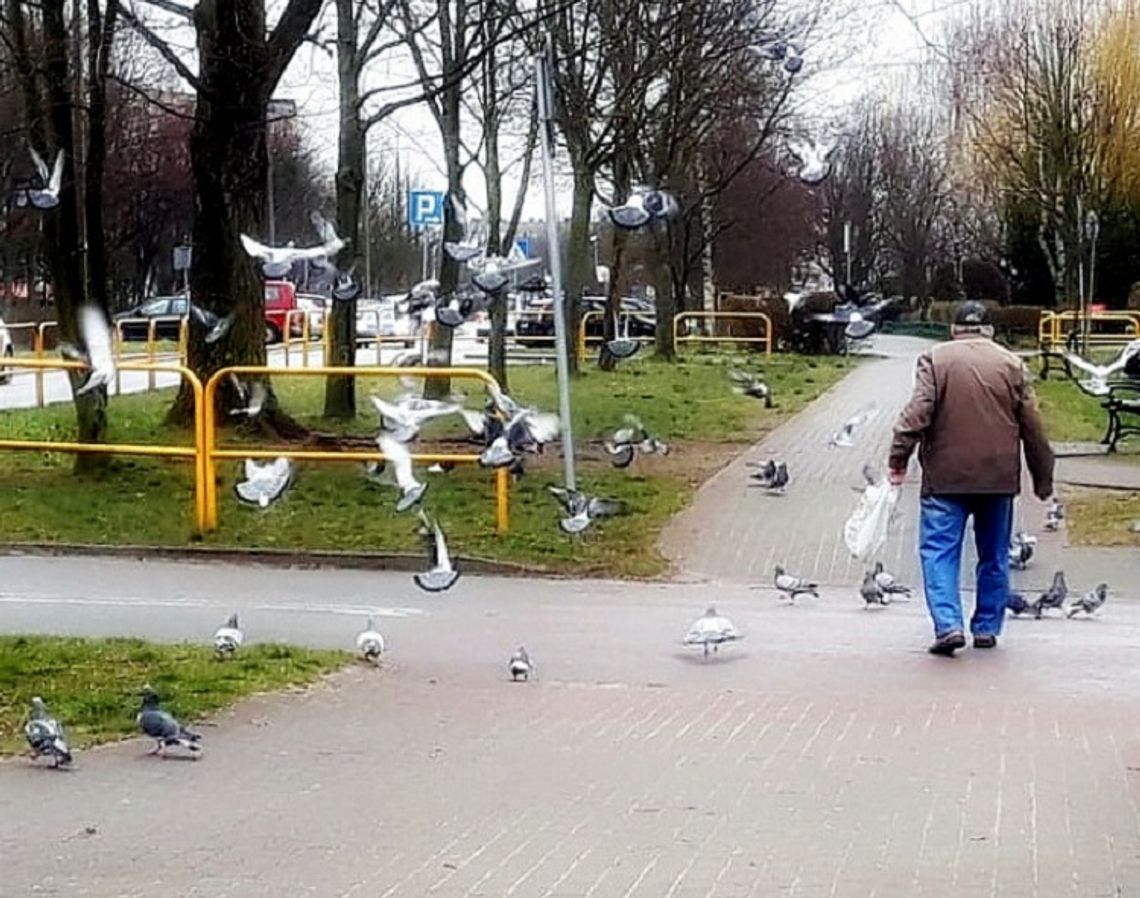 Pomorze. Przybywa nam stulatków