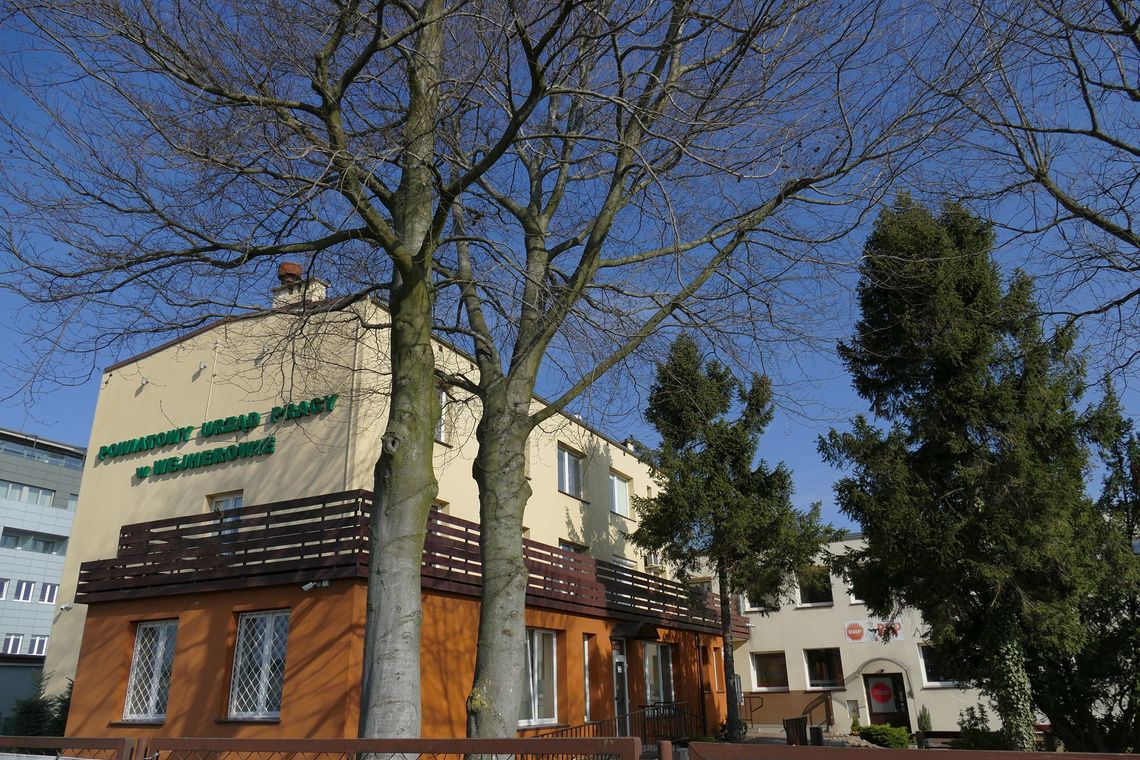 Powiatowe wsparcie dla przedsiębiorców. Bezzwrotne pożyczki