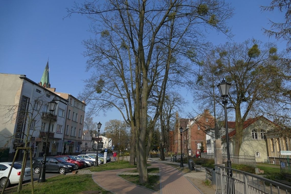 Powróciły płatne parkingi. Pobieranie opłat było zawieszone od 16 marca