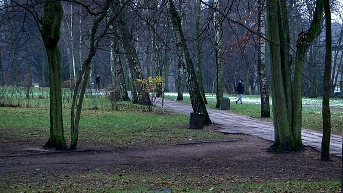 Rewitalizacja Parku Kaszubskiego. Zdecyduj jak ma wyglądać...