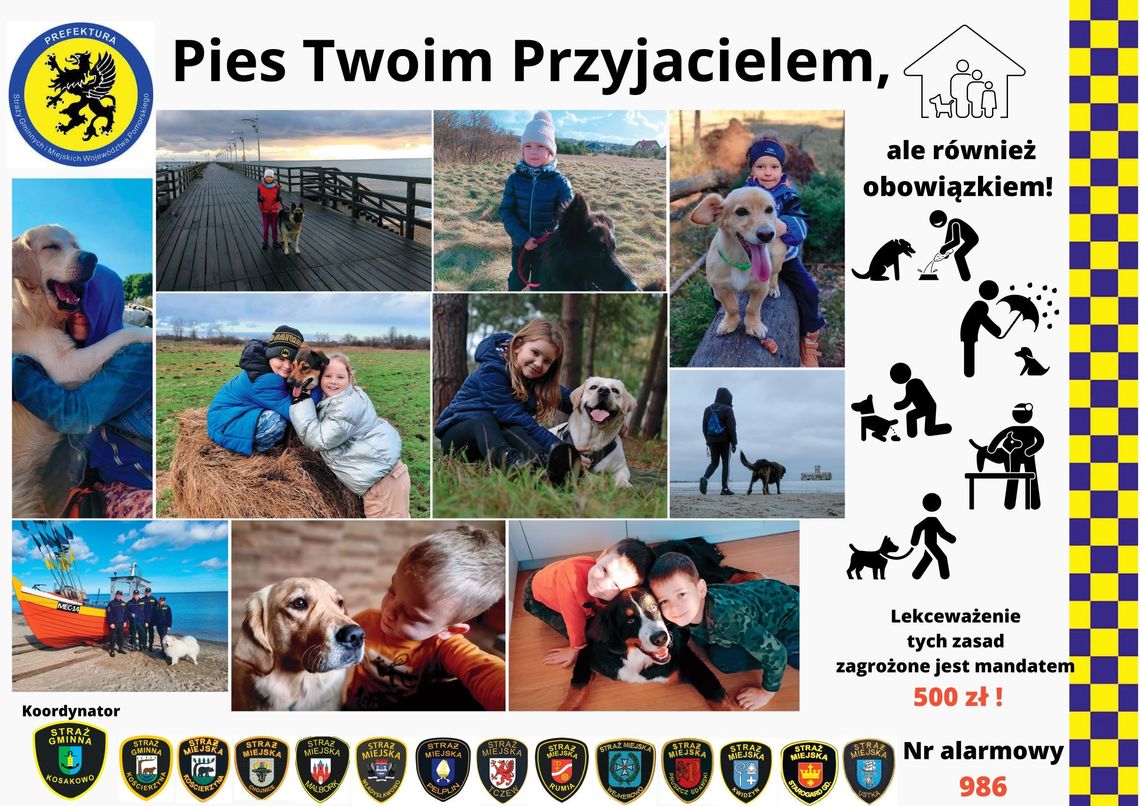 Rusza akcja Pies Twoim Przyjacielem i każde dziecko wie, że sprząta się po psie