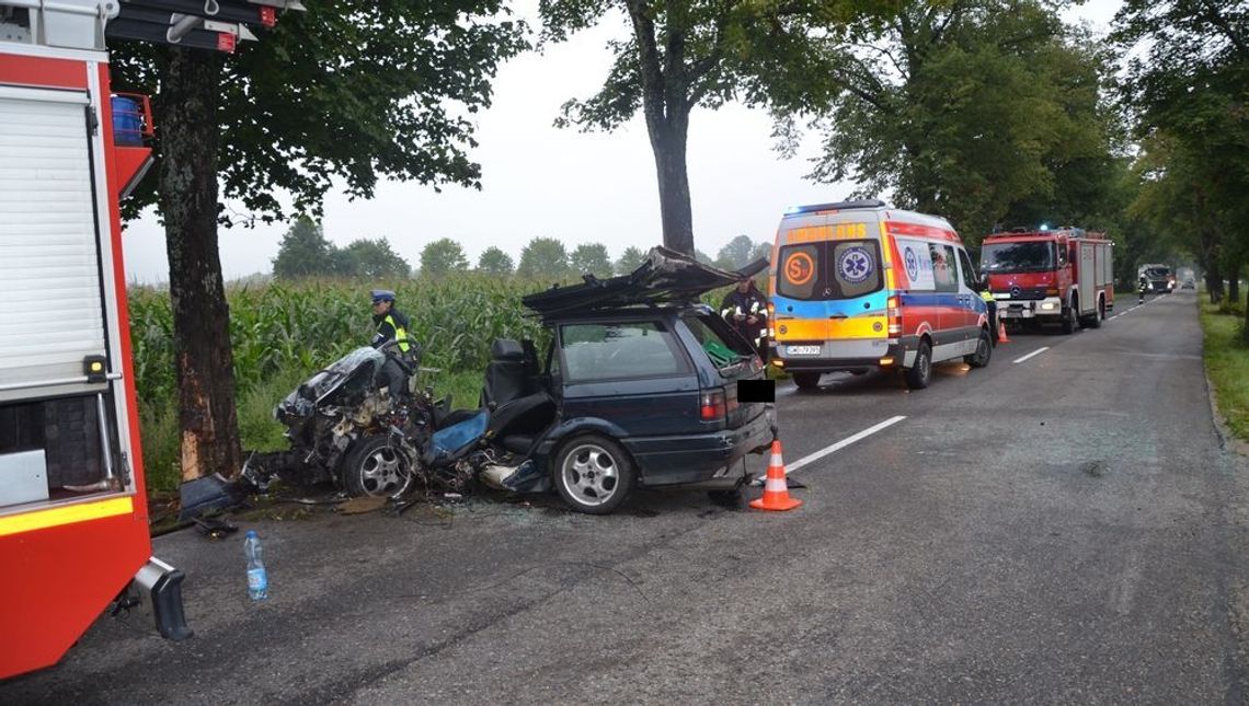 Samochód uderzył w drzewo