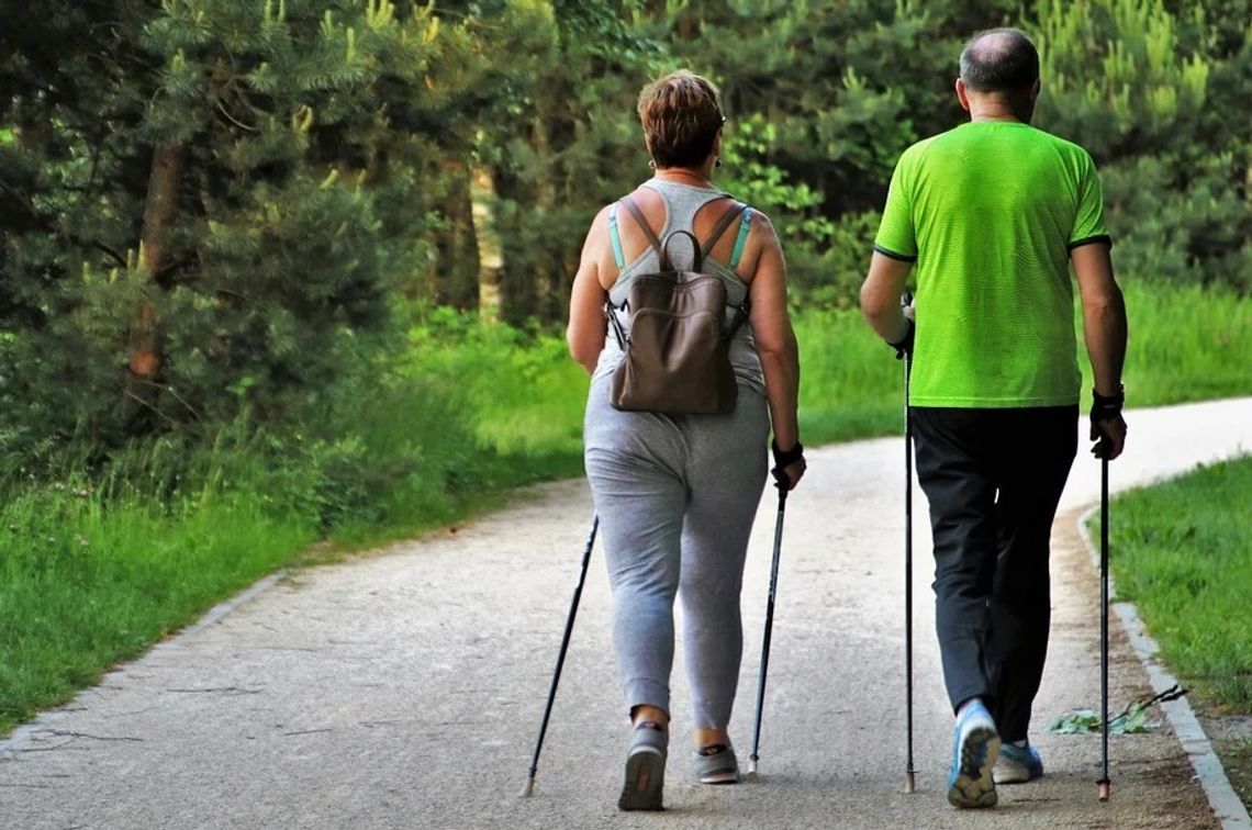 Seniorzy do dzieła! Projekt aktywizacji osób starszych
