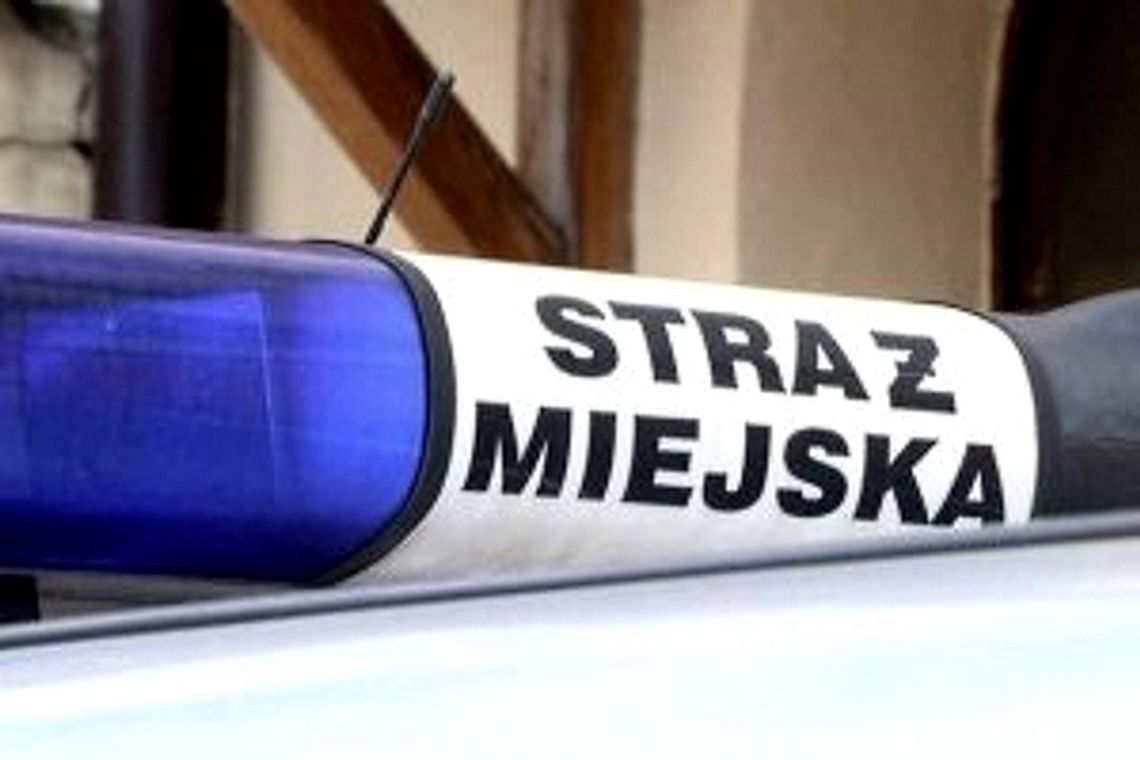 Straż miejska dobra na wszystko. Niecodzienne zgłoszenia