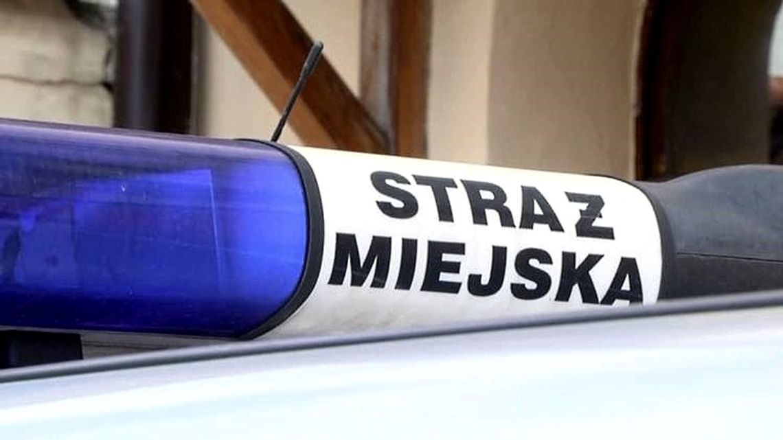 Straż miejska podsumowała 2018 rok. Więcej zdarzeń niż w roku ubiegłym