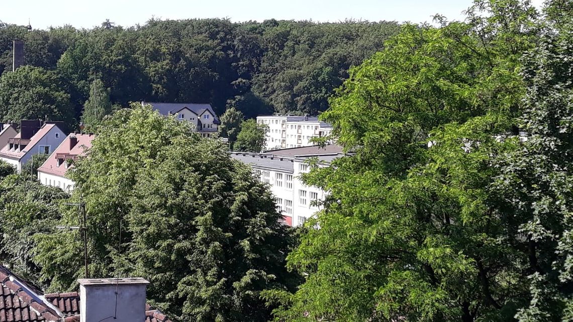 „Trzynastka”. Trafiła już do ponad 460 tys. mieszkańców Pomorza 
