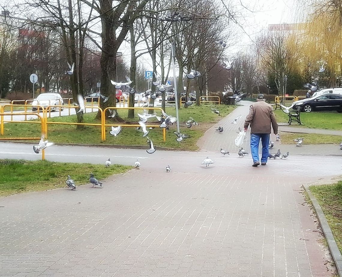 "Trzynastki" dla emerytów i rencistów. Ruszyła wypłata "Trzynastki" dla emerytów i rencistów. Ruszyła wypłata