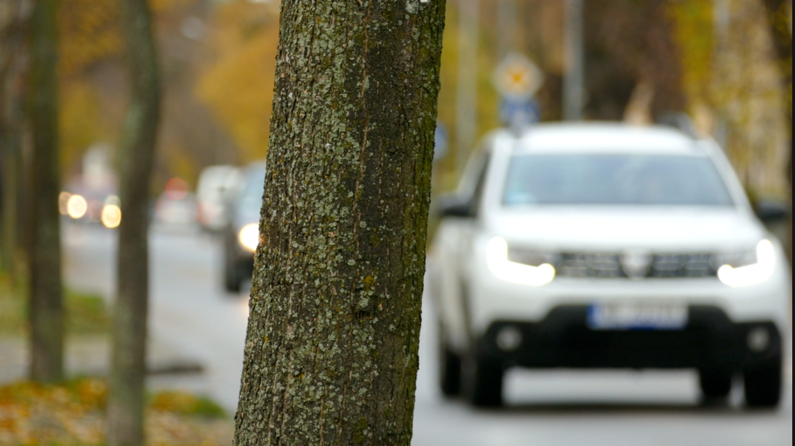 „Twoje światła- Nasze bezpieczeństwo”. Ogólnopolska kampania ruszyła