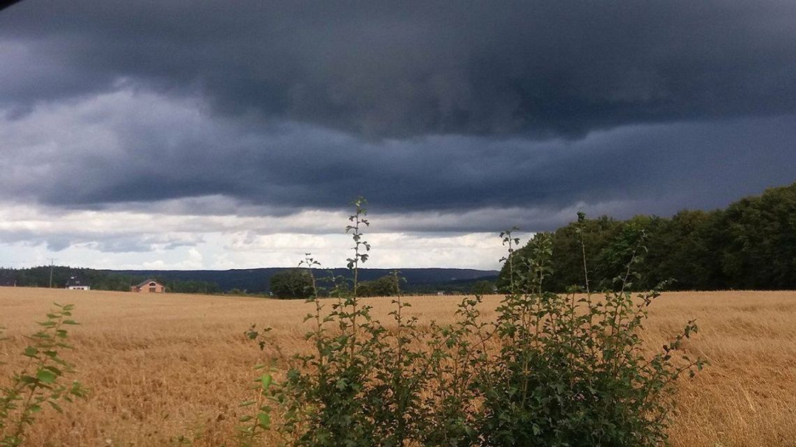 Uwaga! Prognozowna diametralna zmiana pogody. Silny wiatr i więcej opadów.