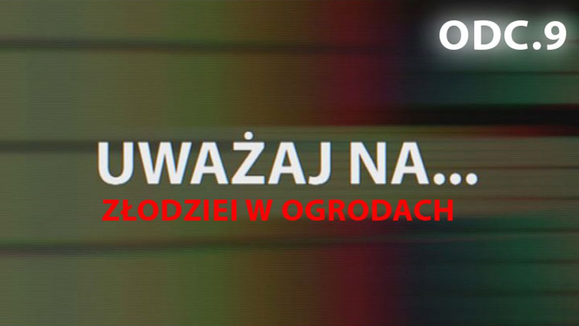 Uważaj na... Złodziei w ogrodach (odc. 9) 