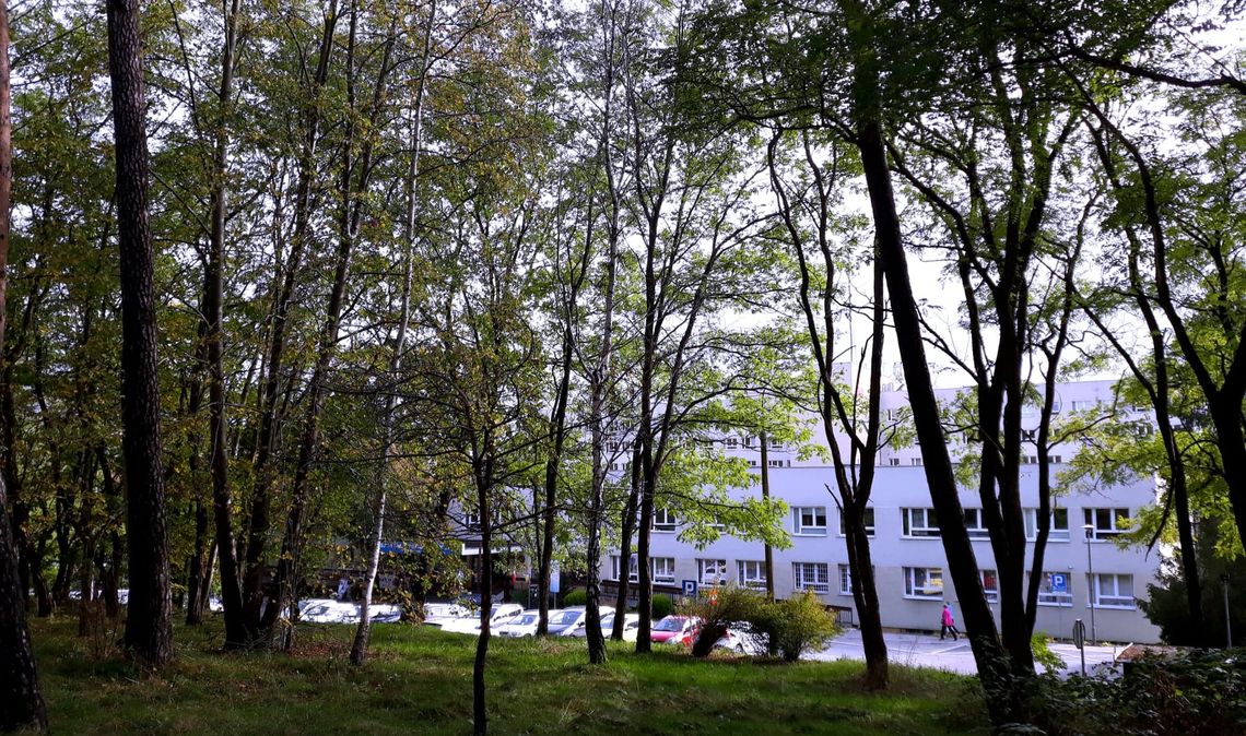 Wejherowskie pielęgniarki wśród najlepszych w kraju. Innowacyjne praktyki