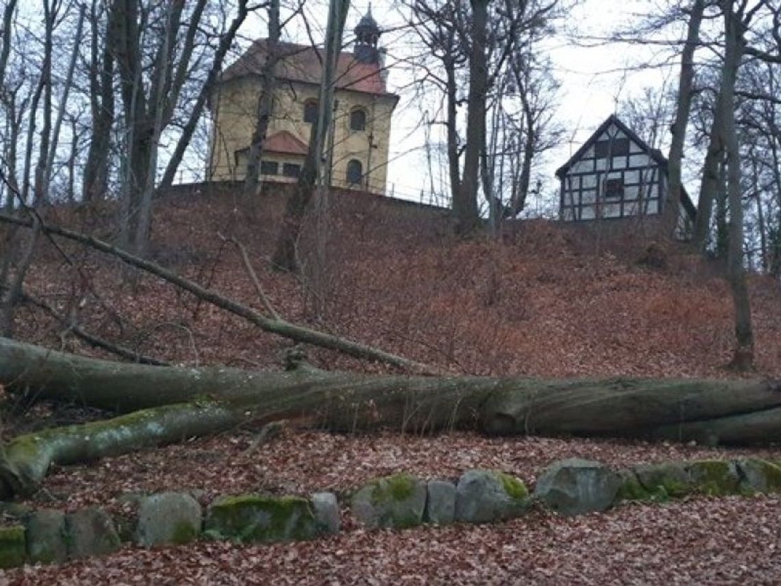 Wietrzny weekend. W Wejherowie spadały dachówki, gałęzie drzew i...reklamy