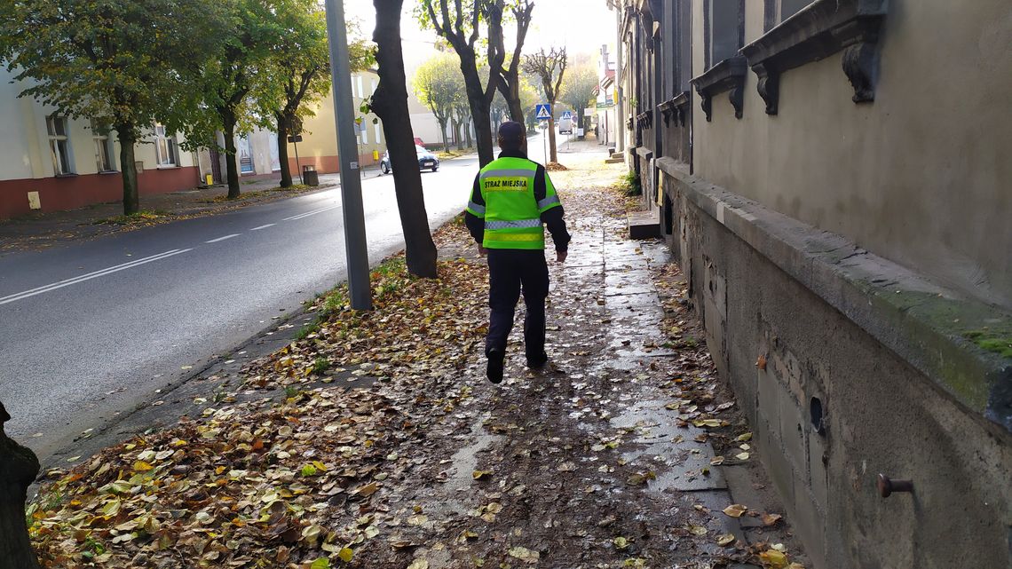 Właściciele powinni zadbać o oczyszczenie chodników