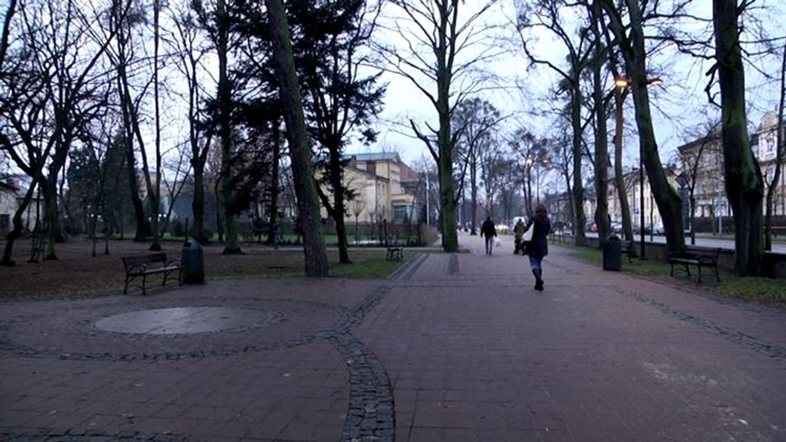 Zdecyduj o losie Parku Kaszubskiego. Do końca miesiąca trwa ankieta. 