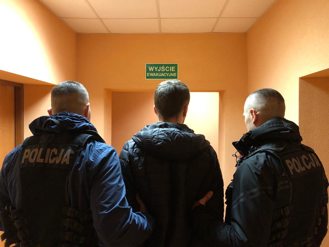 Żubr widziany był również na terenie powiatu wejherowskiego. Zatrzymano osoby podejrzanie o zabicie zwierzęcia